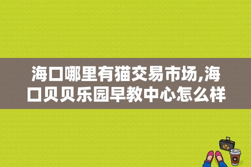 海口哪里有猫交易市场,海口贝贝乐园早教中心怎么样